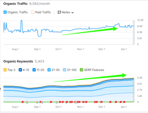 Case Study: How VP DigiWeb Helped Improve Organic Visibility for a Growing HR SaaS Brand